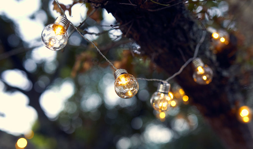 Garden string lights hanging in green tree